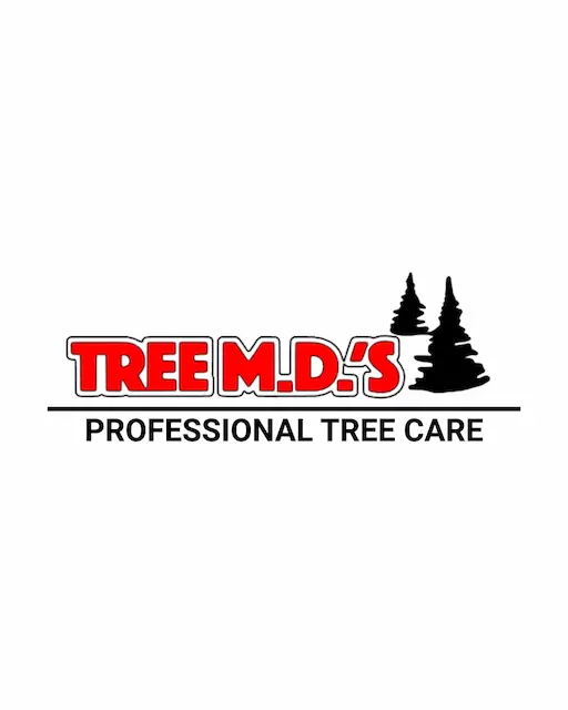 TreeMDs logo